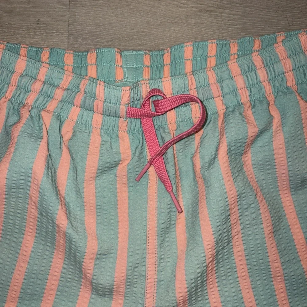 Chubbies Swim Trunks 5.5 Inch Seam Striped Men's Medium Green Pink